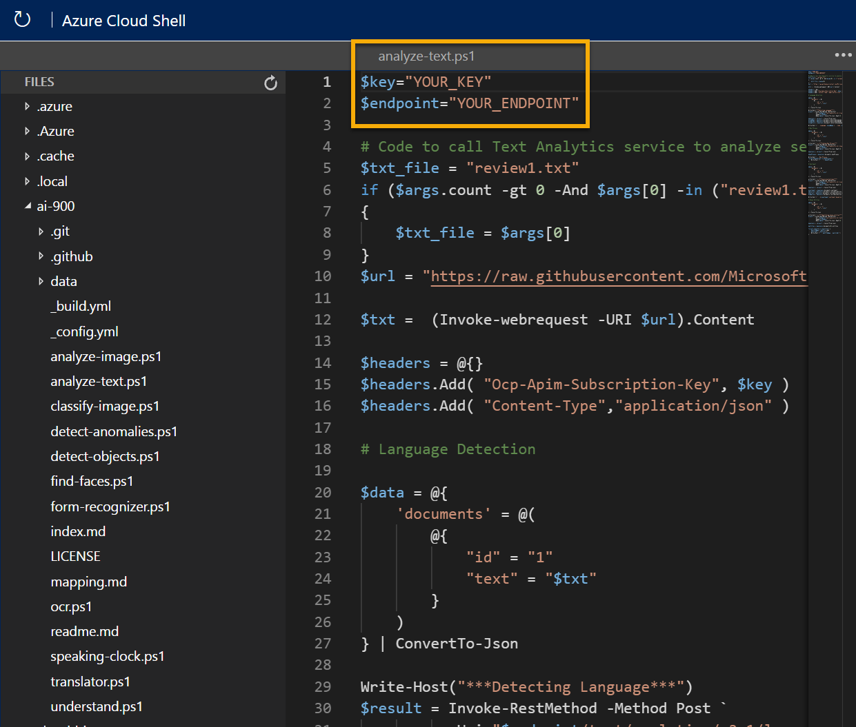 The editor containing code to use the Language service