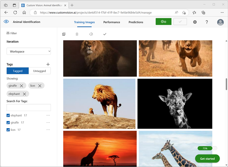 Screenshot of tagged training images in the Custom Vision portal.
