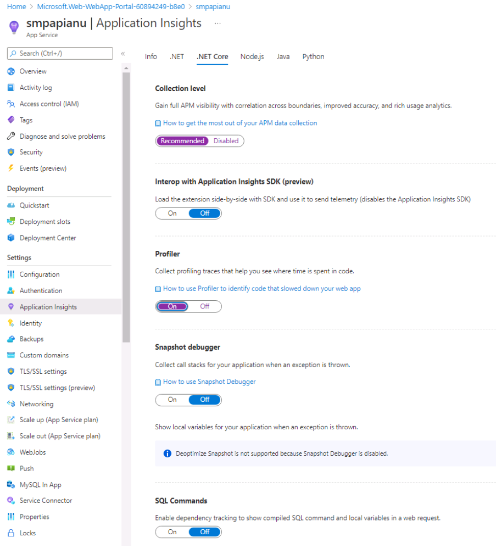 Application Insights settings of the Azure Web API